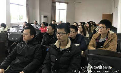 北京大学研修班有哪些类型？